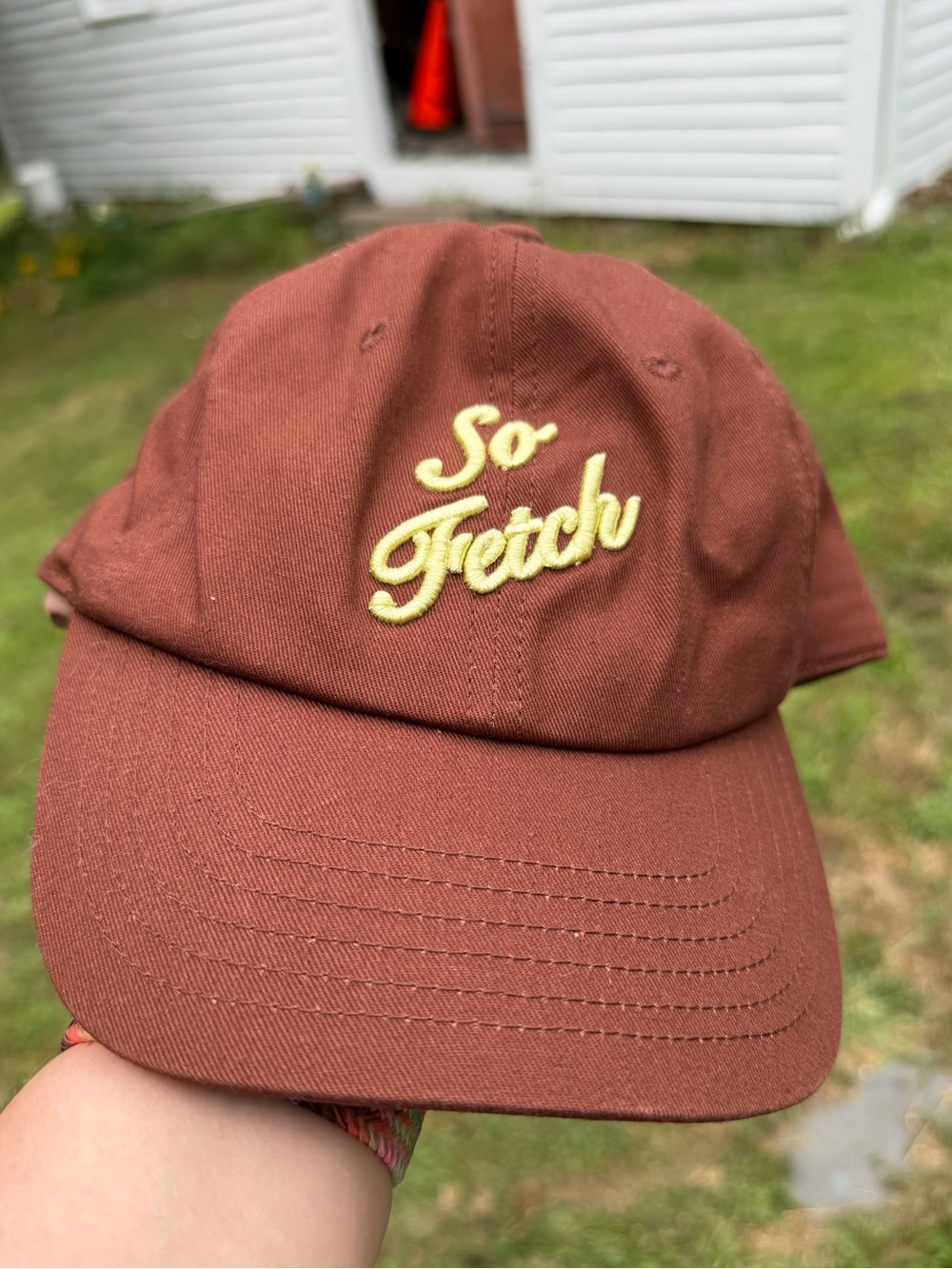 The Cuddle Collab So Fetch Adjustable Baseball Cap Brown Target NWT